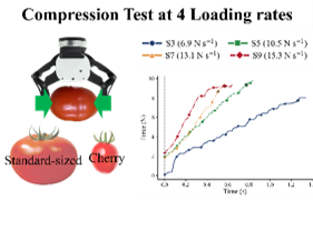 Tomato compression test and force loading rates